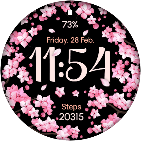 AR02 watch face
